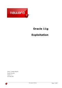 Exploitation Oracle 11g