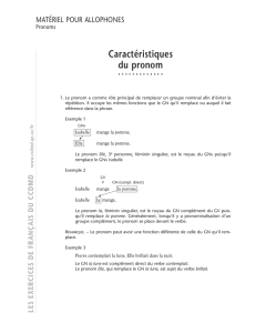 Caractéristiques du pronom