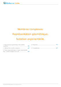 Nombres complexes. Représentation géométrique. Notation