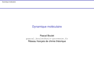 Dynamique moléculaire - Réseau Français de Chimie Théorique