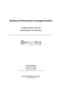 Système d`Information et programmation