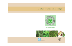 La culture du haricot nain au Sénégal - RADHORT