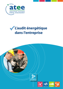 L`audit énergétique dans l`entreprise