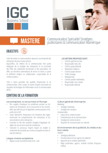 Mastere - IGC Rennes