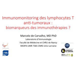 Immunomonitoring des lymphocytes T an