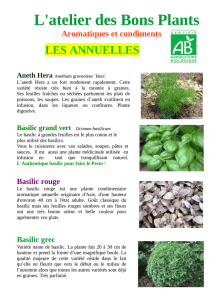 L`atelier des Bons Plants Aromatiques et condiments LES