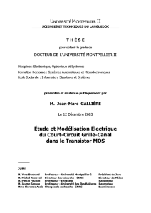 etude et Modélisation electrique du Court Circuit Grille