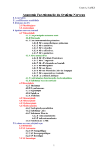 Anatomie Fonctionnelle du Syst&egrave;me Nerveux