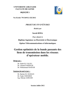 Gestion optimisée de la bande passante des liens de transmission