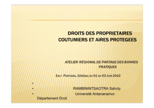 Cas des aires protégées à Madagascar ( PDF - 466.6 ko)