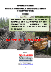 Stratégie nationale de gestion durable des mangroves et des