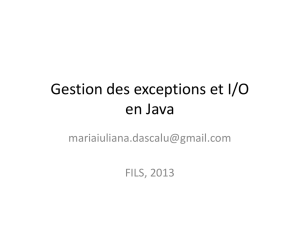Gestion des exceptions et I/O en Java - Maria