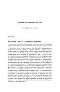 Physiologie de la perception et de l`action