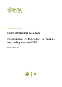 Schéma stratégique 2016-2020 Caractérisation et Elaboration de