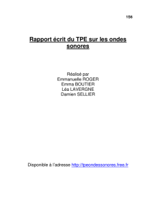 Rapport écrit du TPE sur les ondes sonores