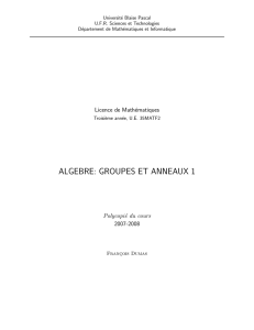 algebre: groupes et anneaux 1