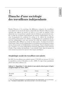 Chapitre 1. Ébauche d`une sociologie des travailleurs indépendants