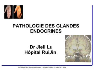 PATHOLOGIE DES GLANDES ENDOCRINES Dr Jieli Lu Hôpital