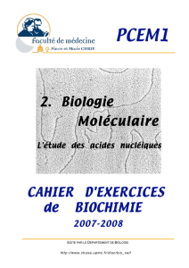 CAHIER D`EXERCICES de BIOCHIMIE 2. Biologie Moléculaire