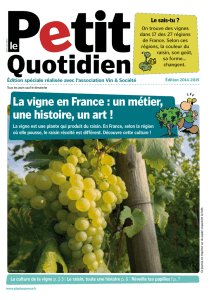 La vigne en France : un métier, une histoire, un art !