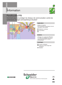Parafoudre PRI - Schneider Electric