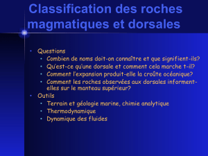 Lecture 6: Igneous classification, mid-ocean ridges - Perso-sdt