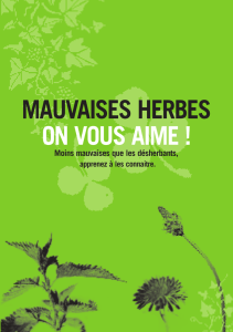 Mauvaises herbes, on vous aime