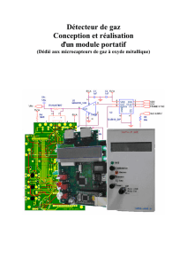 Capteurs de gaz - LAAS-CNRS