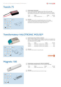 Transfo 75 Magneto 100 Transformateur HALOTRONIC
