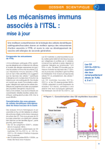 Les mécanismes immuns associés à l`ITSL