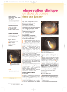 PP 50-54 observation clinique abcès cornée