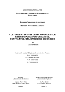 cultures intensives de microalgues sur lisier de porc