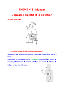 L`appareil digestif - Académie de Nancy-Metz