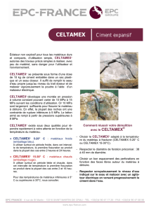 CELTAMEX Ciment expansif