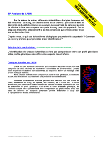Analyse de l`ADN - Académie de Nancy-Metz