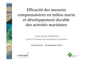Efficacité des mesures compensatoires en milieu marin