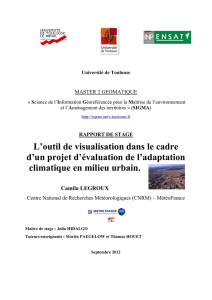 L`outil de visualisation dans le cadre d`un projet d