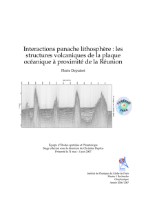 Interactions panache lithosphère : les structures volcaniques de la