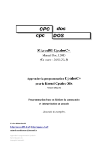 Microsf01 CpcdosC+ - E