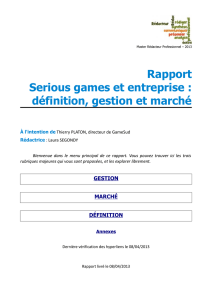 Rapport Serious games et entreprise : définition, gestion et marché