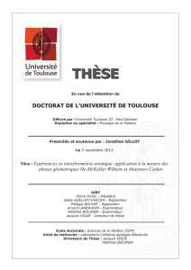 V - Accueil thèses - Université Paul Sabatier