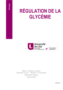 régulation de la glycémie - Univ-lille1