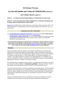 La vie est basée sur l`eau et l`électricité (partie 1)