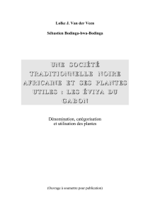 UNE SOCIÉTÉ TRADITIONNELLE NOIRE AFRICAINE ET SES