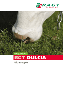 rgt dulcia - RAGT Semences