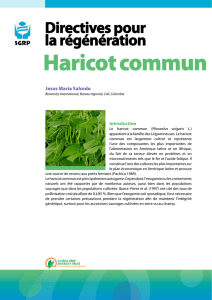 Haricot commun - Crop Genebank Knowledge Base