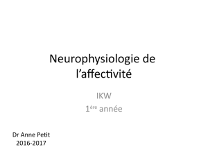 Neurophysiologie de l`affectivité