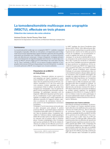 La tomodensitométrie multicoupe avec urographie (MSCTU), effectuée