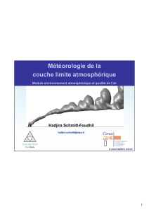 Météorologie de la couche limite atmosphérique - CEREA-ENPC