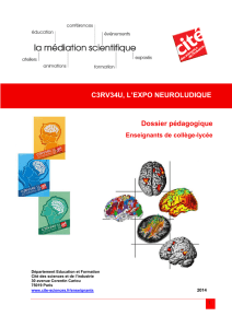 Dossier enseignant - C3RV34U, l`expo neuroludique